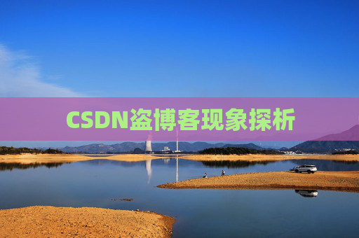 CSDN盗博客现象探析 CSDN盗博客现象探析